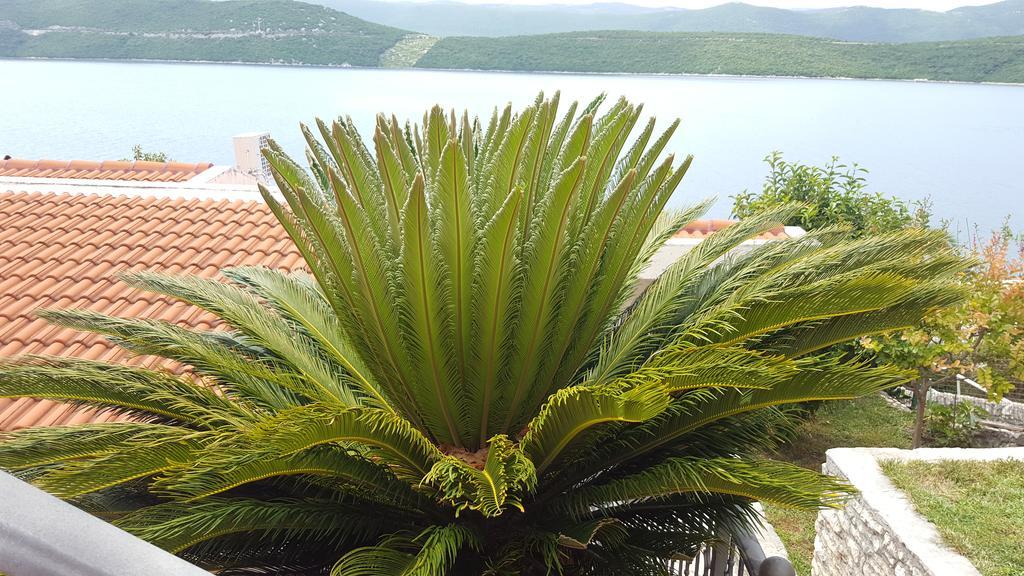 Apartments Cytrus Neum Buitenkant foto